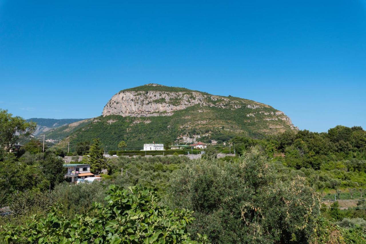 Villa Anna - De Vivo Realty Piano Di Sorrento Bagian luar foto